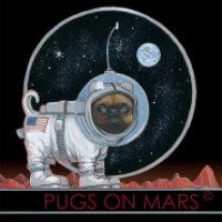 Pugs on Mars