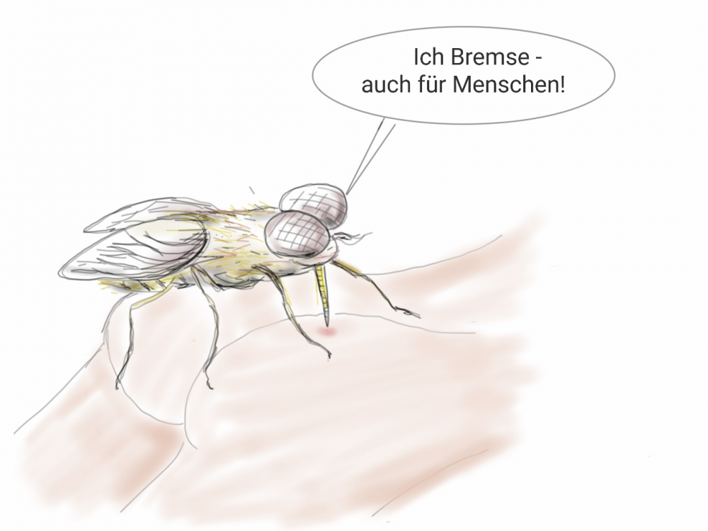 Cartoon: Ich Bremse 1