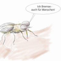 Ich Bremse