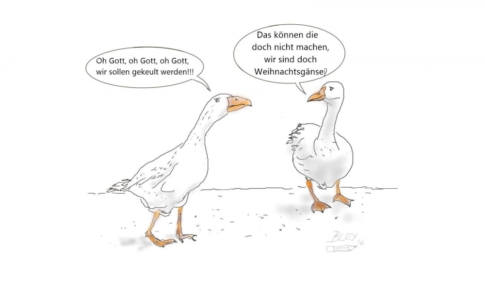 Cartoon: Arme Gänse 1