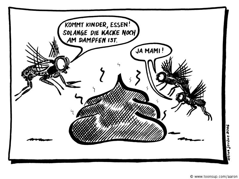 Cartoon: Fliegen 1