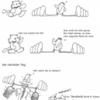 Noi´s neuer, tragender Job