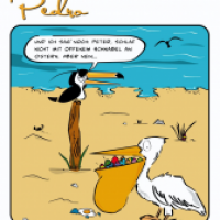 Pedro 13