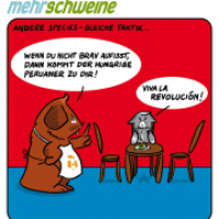 mehr schweine 9