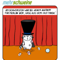 mehr schweine 19