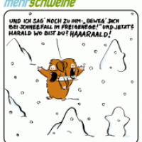 mehr schweine 20