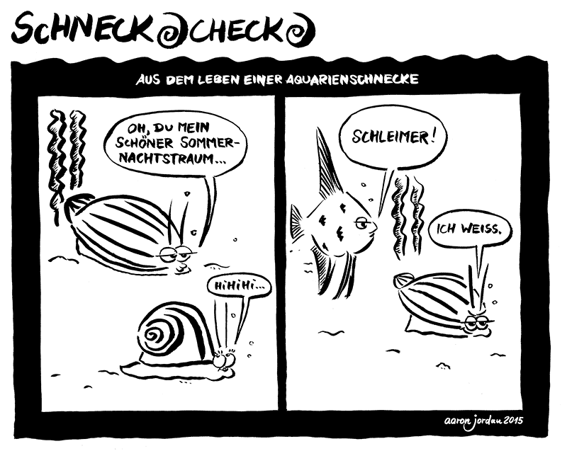 Comic: Schneckachecka #1 1