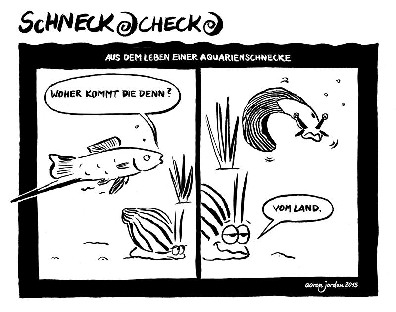 Comic: Schneckachecka #2 1