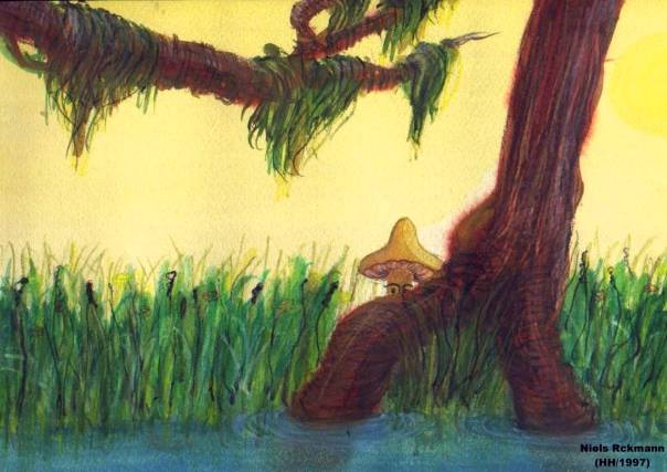 Illustration: Pilz (1) 1