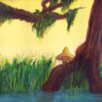 Pilz (1)