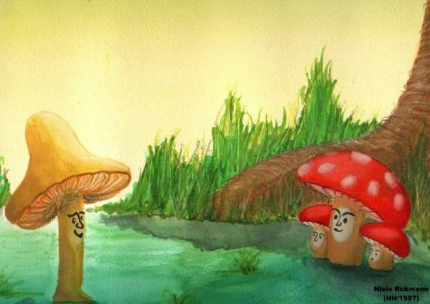 Illustration: Pilz (2) 1