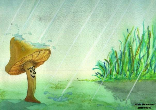 Illustration: Pilz (3) 1