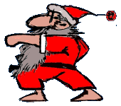 Cartoon: Karate-Nikolausi 1