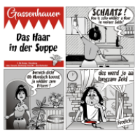 Das Haar in der Suppe