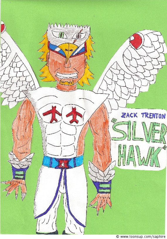 Other: Silver Hawk 1