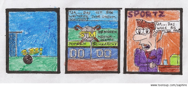 Comic: SM 2010 2