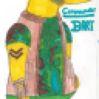 Comander Bart