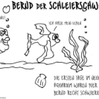 Bernd der Schleierschwanz