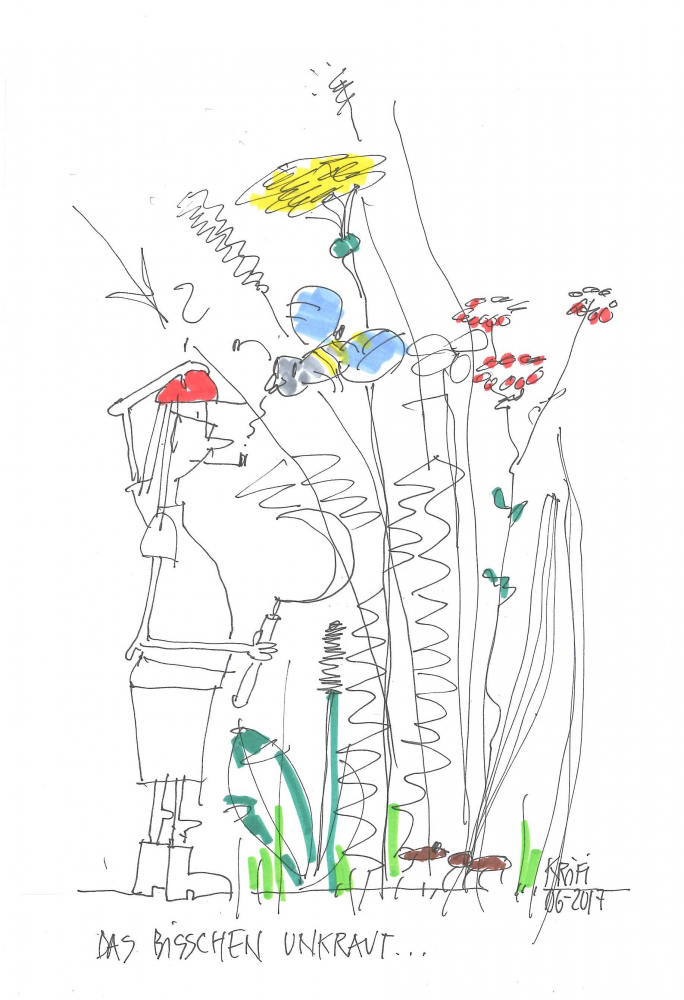 Cartoon: Sommerträume 6