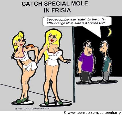 Cartoon: Frisian Mole 1