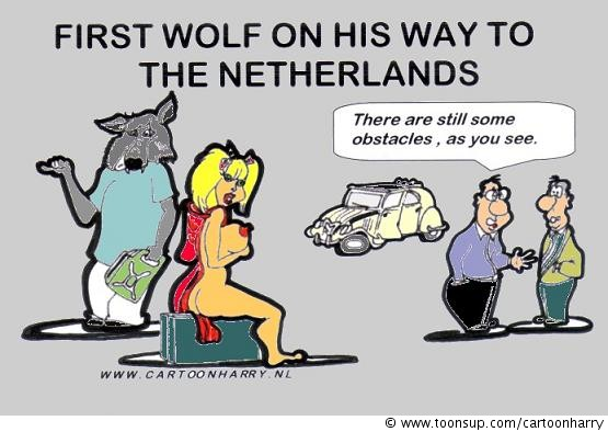 Cartoon: The First Wolf 1