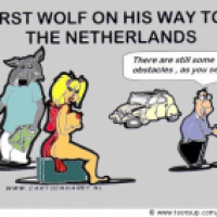The First Wolf