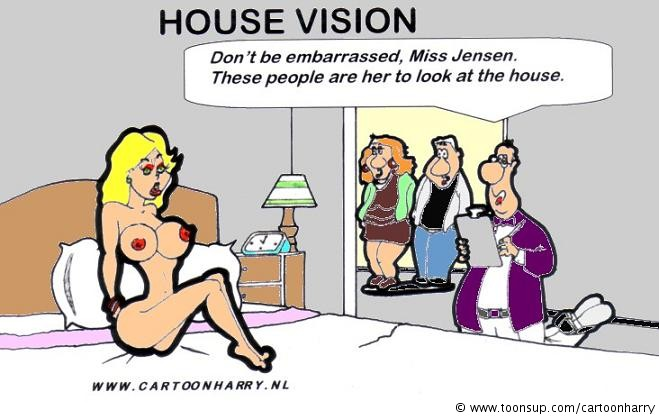 Cartoon: House Vision 1