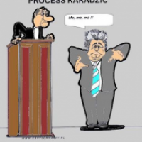 Process Karadzic