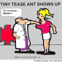 Tease Ant Shows Up