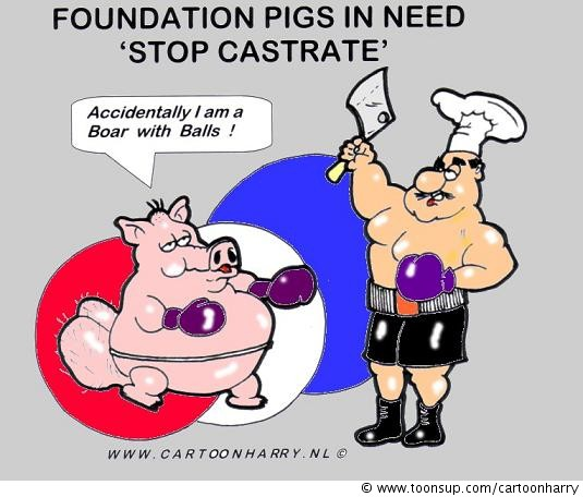 Cartoon: Castrate The Boar 1