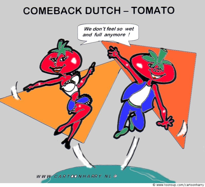 Cartoon: Comeback Dutch Tomato 1