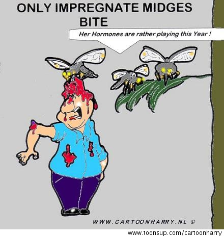 Cartoon: A Midge-Bite 1