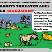 Rabbits and Cinerarium