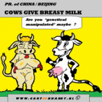 Chinese Breast Milk