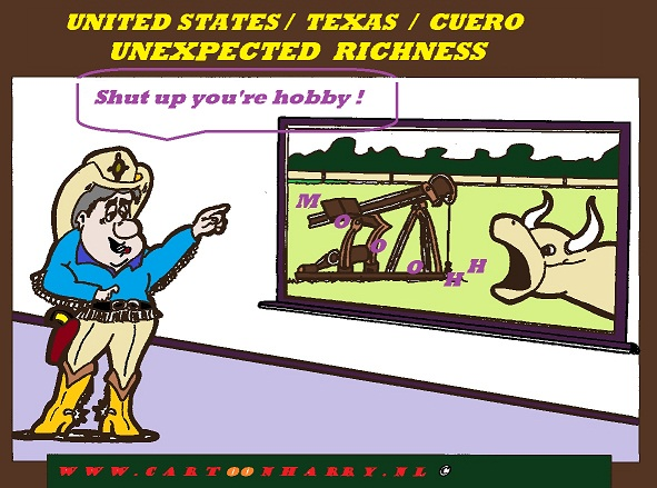 Cartoon: Unexpected Richness 1