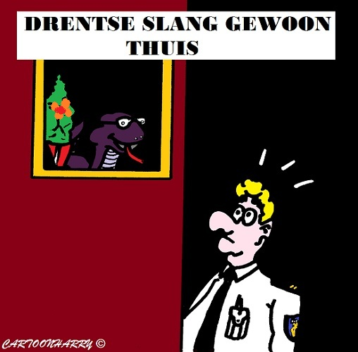 Cartoon: Drentse Slang 1