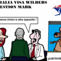 Visa Wilders Question Mark