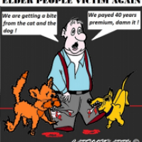 Elder People Victims