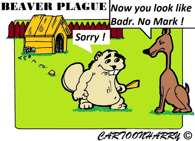 Cartoon: Sorry 1