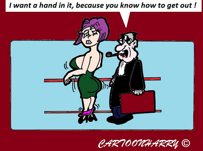 Cartoon: Close Rescue 1