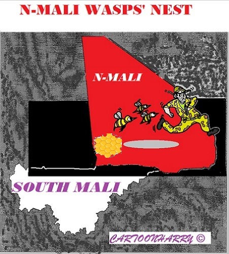 Cartoon: Mali 1