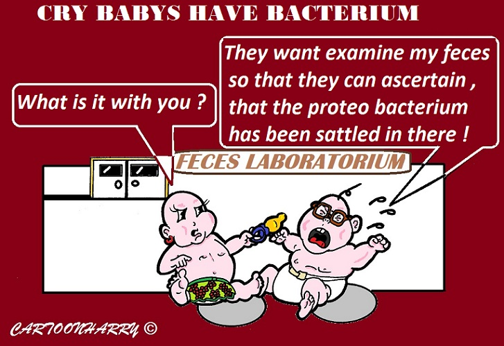 Cartoon: Proteo Bacterium 1
