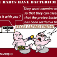 Proteo Bacterium