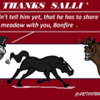 Goodbye Salinero