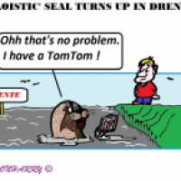 Seal in Drente
