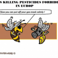 Problem for Bees Over