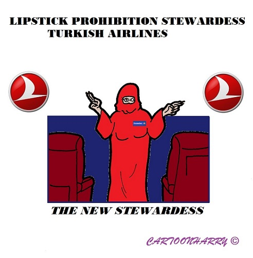 Cartoon: Turkish Airlines 1