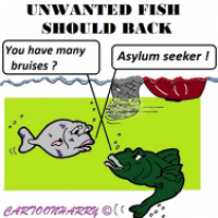 Asylum Seeker