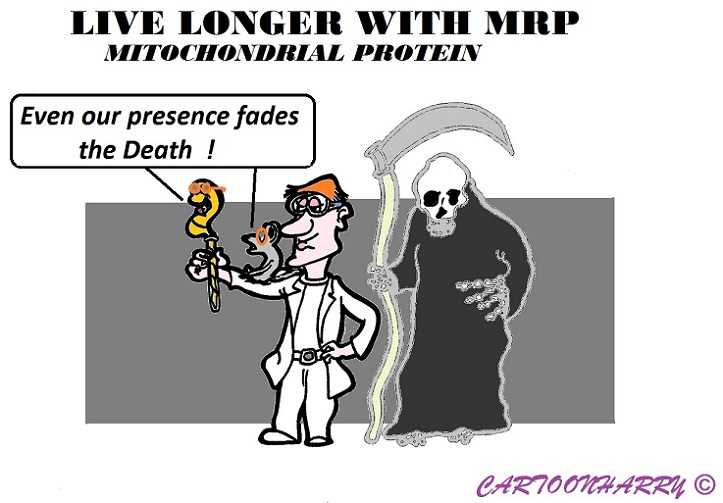 Cartoon: Longer Living 1