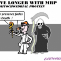 Longer Living
